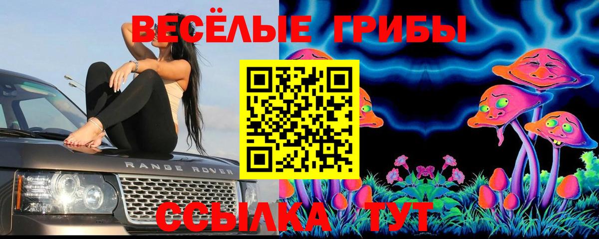 Галлюциногенные грибы ЛСД Белгород